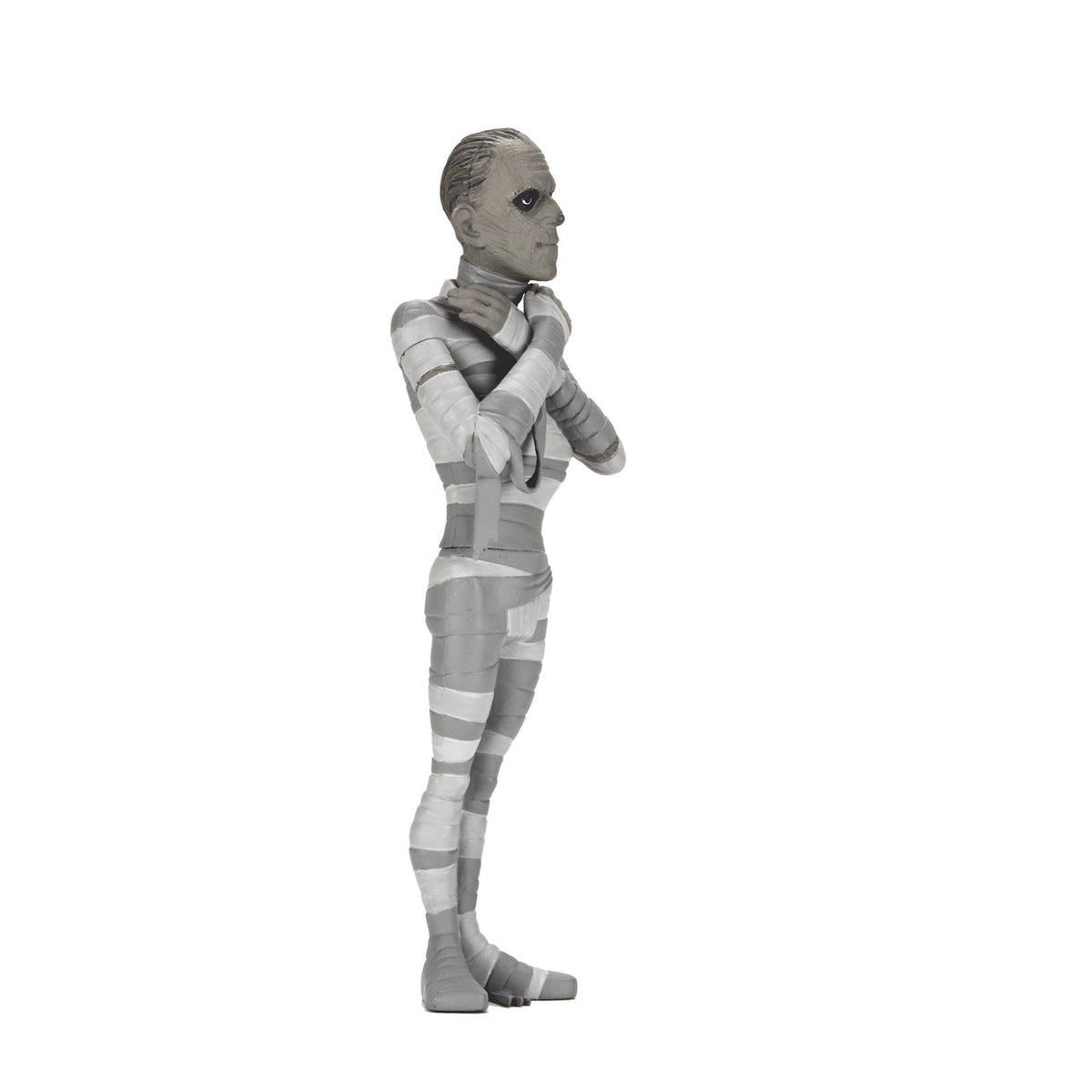 Productafbeelding Universal Monsters Toony Terrors actiefiguren 15 cm Serie 10 Silver Screen Edition assortiment (12)