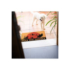 Productafbeelding Disney De Leeuwenkoning Deurmat Rule The Jungle 40 x 60 cm