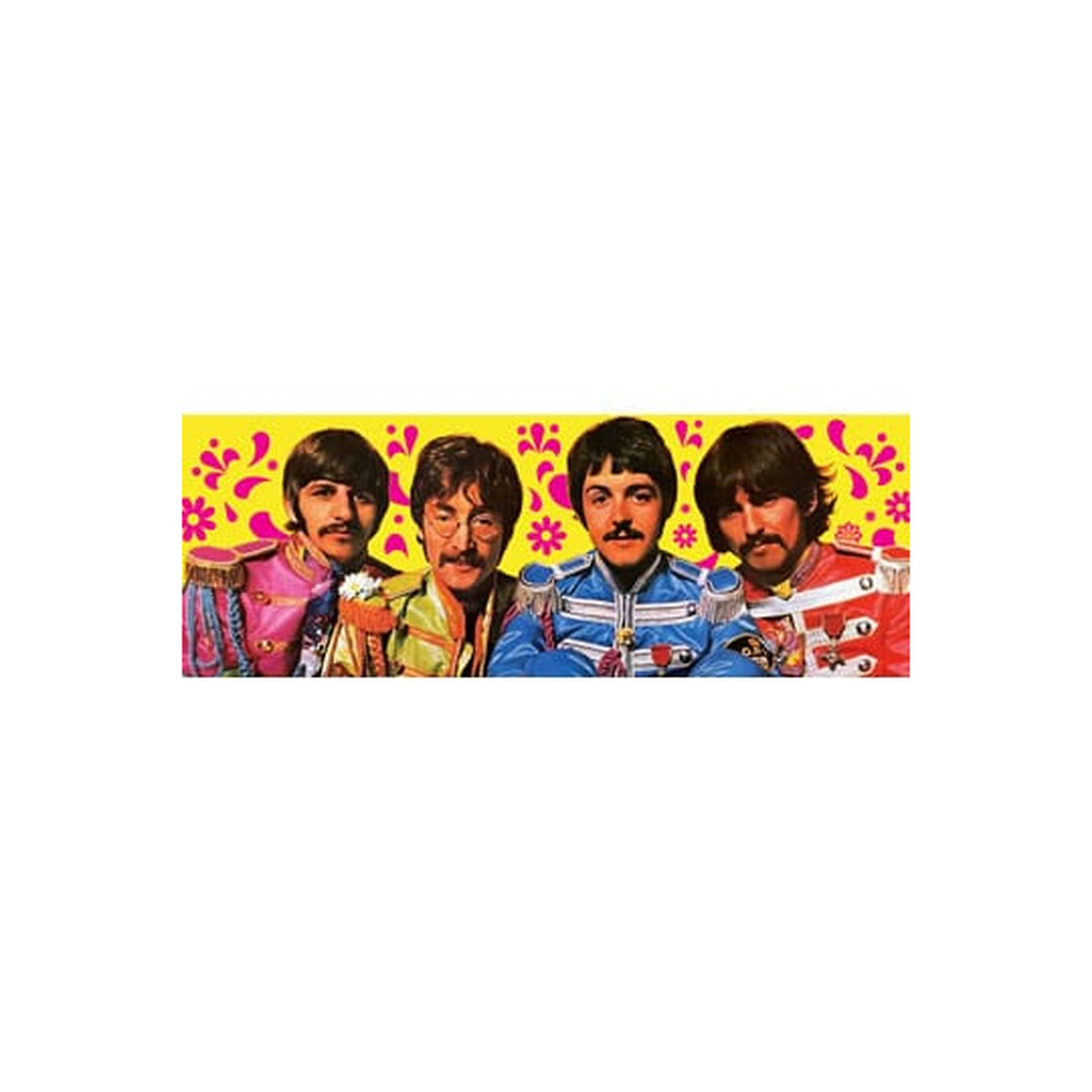 Productafbeelding The Beatles Speelkaarten Green Version