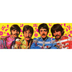 Productafbeelding The Beatles Speelkaarten Green Version