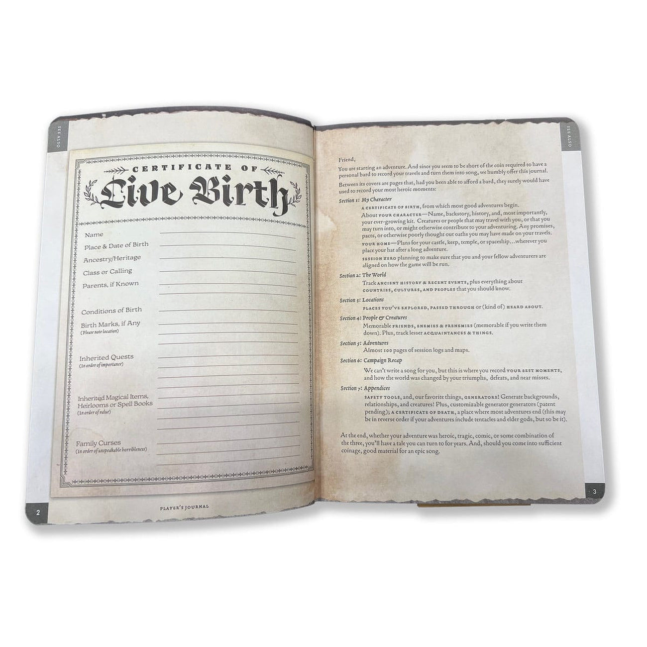 Productafbeelding Notitieboek A5 Player's Journal Sage Green Shield