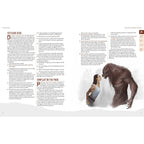 Productafbeelding Werewolf: The Apocalypse 5e RPG-boek Scent of
