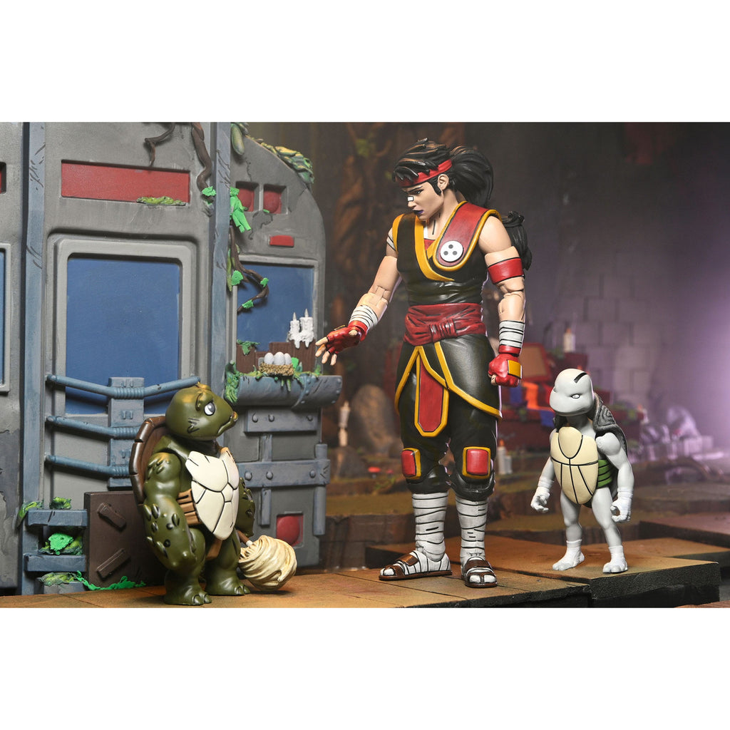 Productafbeelding Teenage Mutant Ninja Turtles: The Last Ronin Actiefiguur