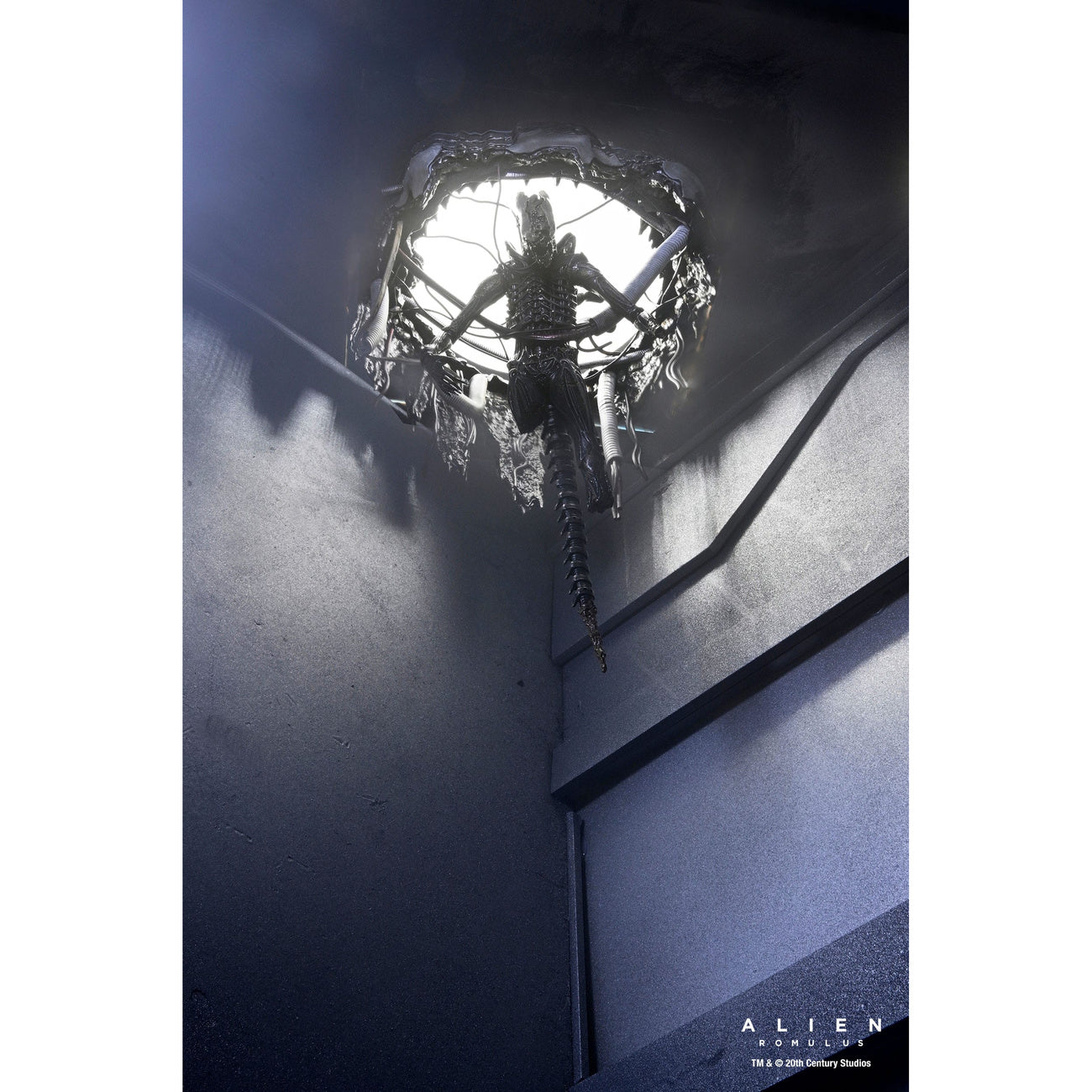 Productafbeelding Alien: Romulus Actiefiguur Deluxe Suspended Lab Xenomorph