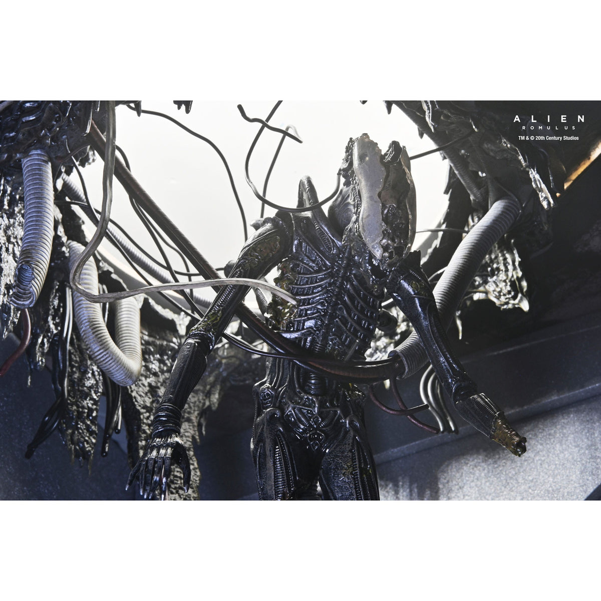 Productafbeelding Alien: Romulus Actiefiguur Deluxe Suspended Lab Xenomorph