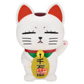 Productafbeelding Dandadan - Turbo Granny Figure Life Figur