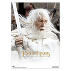 Productafbeelding The Lord of the Rings poster 38 x 52 cm set van 2