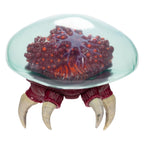 Productafbeelding World of Nintendo Metroid Prime Metroid actiefiguur