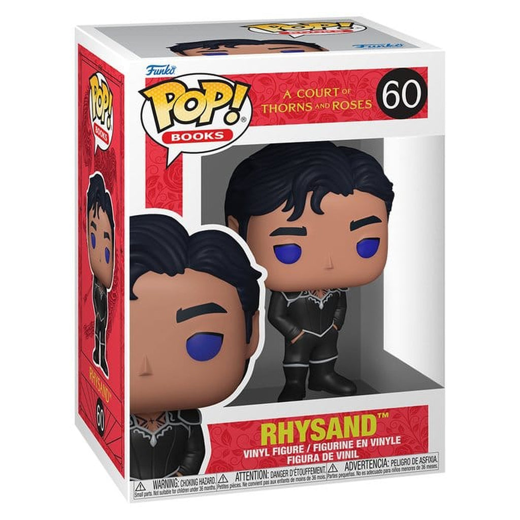 Productafbeelding Het Rijk van de Zeven Hoven - Rhysand Funko Pop-figuur