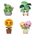 Product image Flora POP! Vinyl Figures Flora Black Friday 4-Pack 9 cm